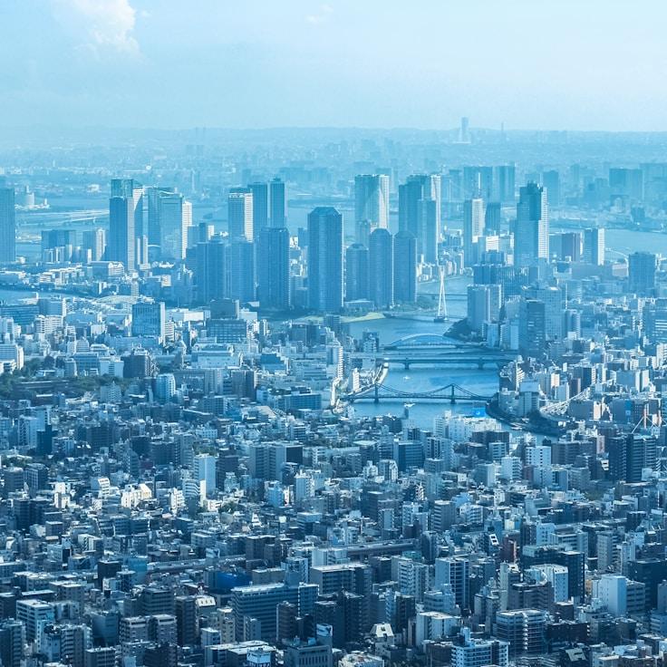 Emily Carter - Expat family life guide in United Kingdom